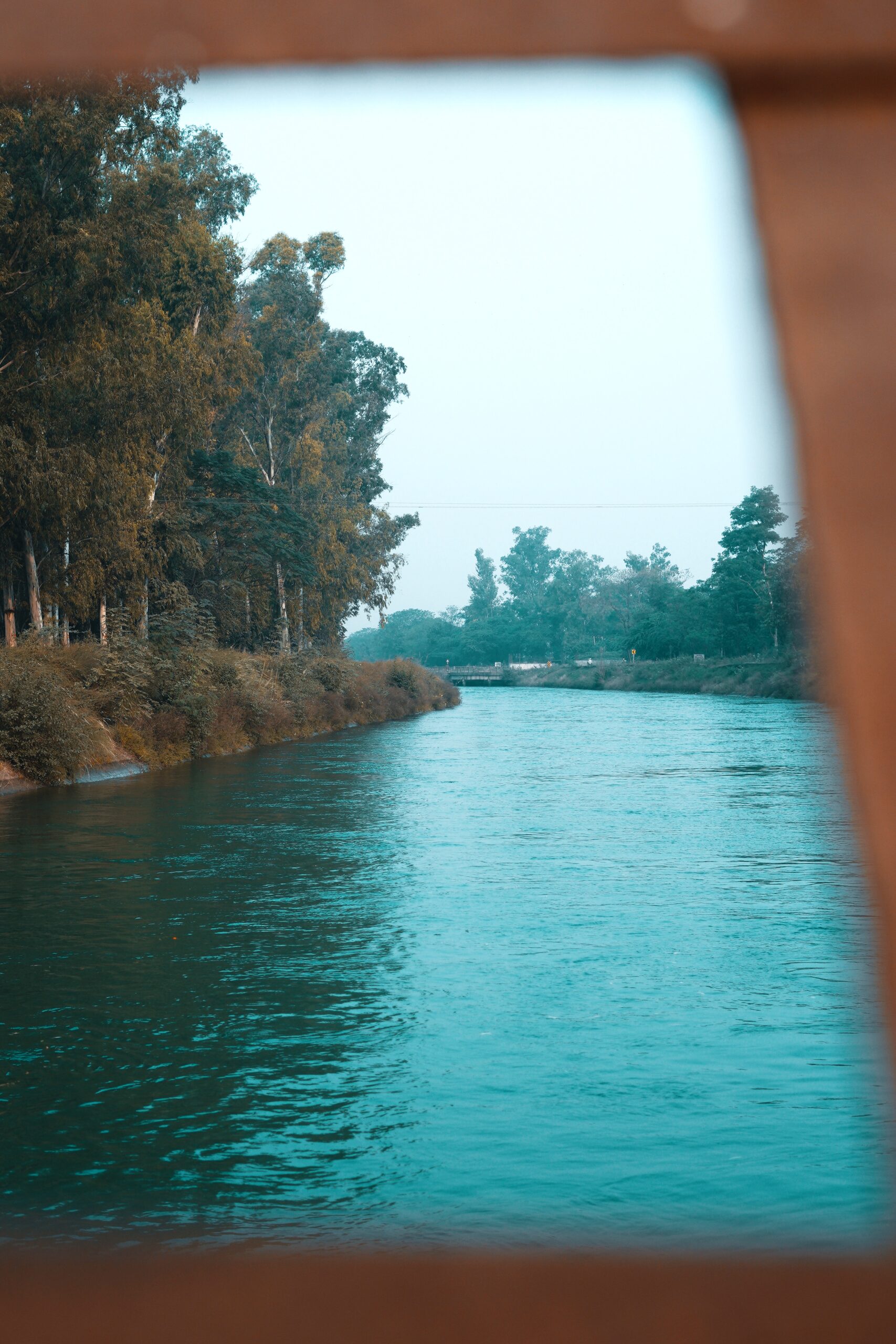 a body of water with trees around it